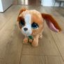 Little live pets Image 4