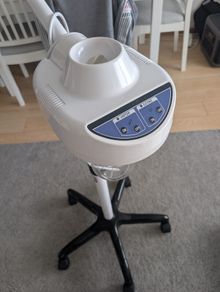 face steamer
