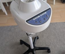 face steamer