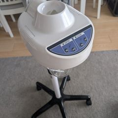 face steamer
