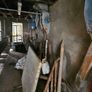 Milking Parlour Equipment Image 3