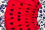 GAP skirt 8yrs