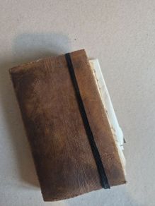 Indiana Jones Cosplay Diary Prop