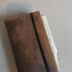 Indiana Jones Cosplay Diary Prop