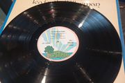 vinyl