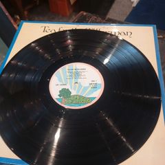 vinyl