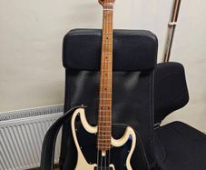 Sire Marcus Miller D5
