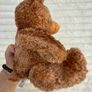 Regal Toys Edward 1 Classic Teddy Bear approx. 22 cm. Soft Plush Used Please see photos Image 6