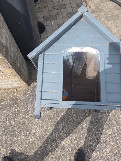 Small dog kennel