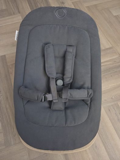 bugaboo giraffe bouncer