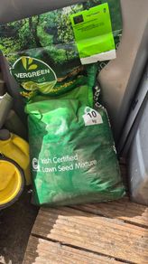 grass seed