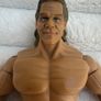 WWE Classic Superstars Jakks Lex Luger Series 15 Wrestling Used Please see pictures Image 3