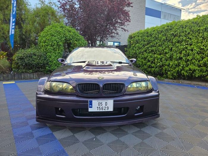 2005 Bmw 318