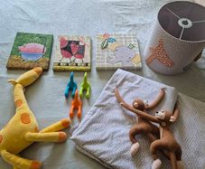 Nursery Curtains and Lampshade