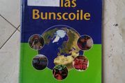 Atlas Bunscoile