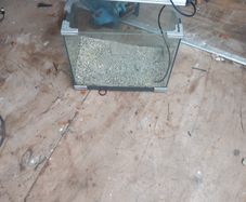fishtank