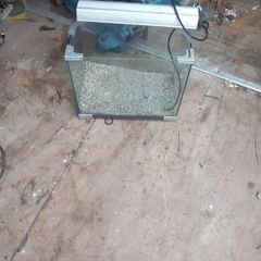 fishtank