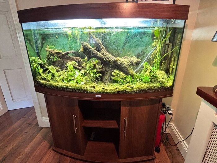 Tropical Fish Tank