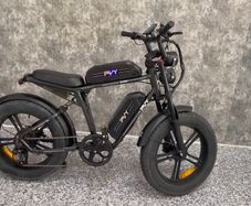 Pvy X20