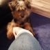 zoe.mortimer.3