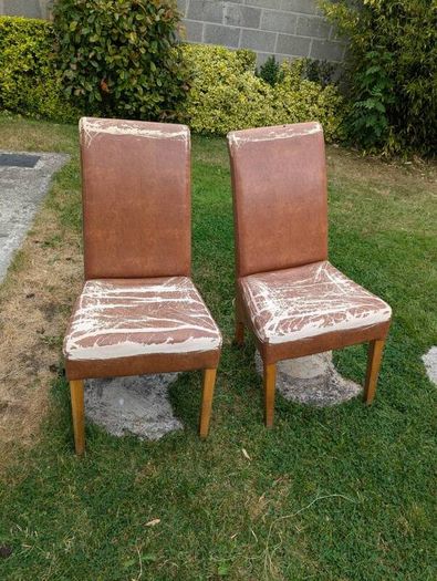 Dining Chairs