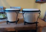 Bongos