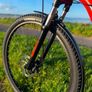 Like New Fully Serviced Trek Marlin 6 29 Inch Mountain Bike M/l Frame Image 4