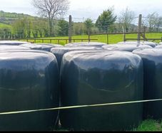 15 large bales of Haylage