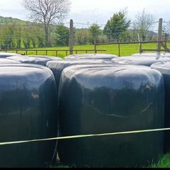 15 large bales of Haylage