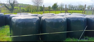 15 large bales of Haylage