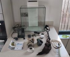 Fluval Edge 46l