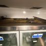 Commercial Polar fridge Image 4