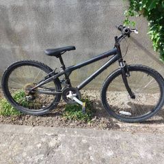 bike
