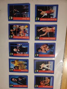 Wrestling trading cards 1991