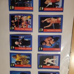 Wrestling trading cards 1991