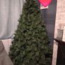 Christmas tree Image 4
