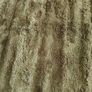 Rug Image 2