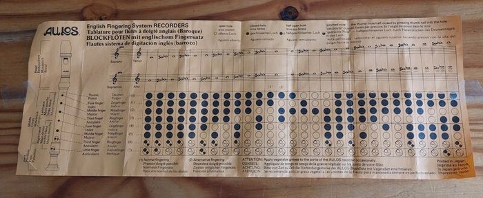 Aulos Recorder