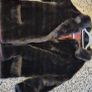 vintage Faux fur jacket brown Image 8