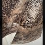 top savida animal print long tunic style top size 12 Image 9