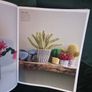 Crocheted Succulents : Cacti & Other Succulent Projects to Make Image 3