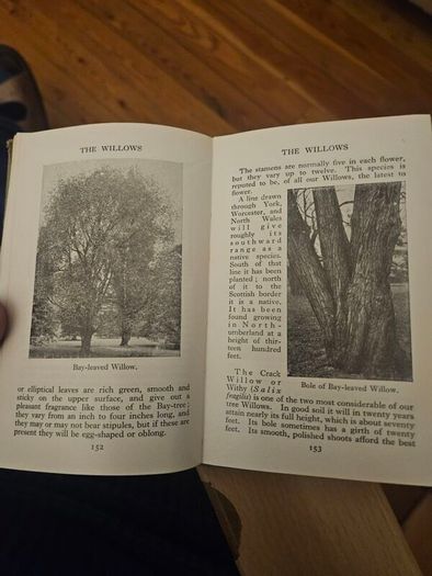 The Observer's Book Of Trees. Minature 1968 Hardback In Good Condition.  See Photos For Same.