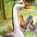 GooseyLoosey