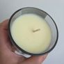 Max Benjamin Lemongrass Ginger Candle Diffuser Gift Set Image 9