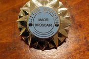 Vintage Irish Litter Warden Badge Maor Bruscair County Council Official Enamel Badge