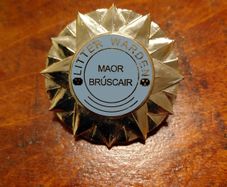 Vintage Irish Litter Warden Badge Maor Bruscair County Council Official Enamel Badge