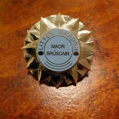 Vintage Irish Litter Warden Badge Maor Bruscair County Council Official Enamel Badge