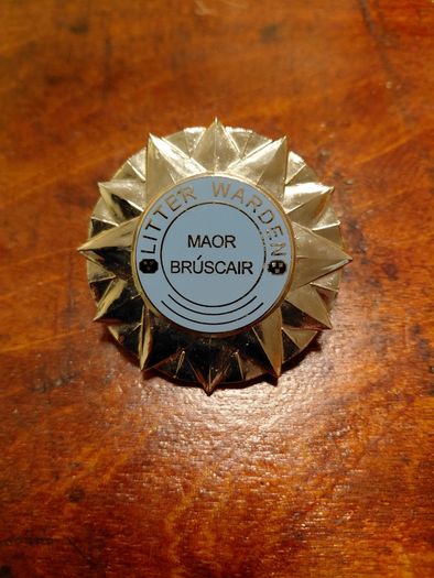 Vintage Irish Litter Warden Badge Maor Bruscair County Council Official Enamel Badge