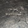 Vintage Silver plate Bowl Image 4