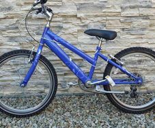 Raleigh purple bicycle on 20 inch wheels.